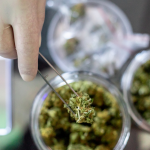 Every Aspect Of The Delta 8 Hemp To Know Now